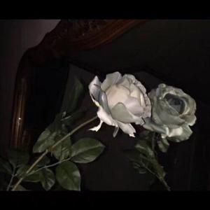 公厕公厕GayGAyGay
